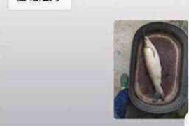 丰润企业清欠服务